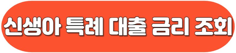 신생아 특례 대출 조건 및 신청하기