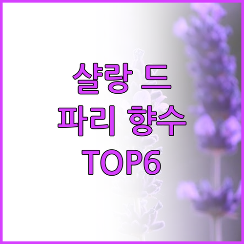 샬랑 드 파리 향수 TOP6 솔직 후