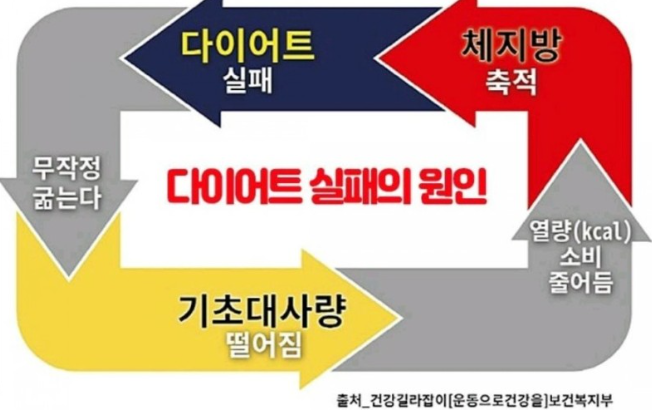 굶는 다이어트로 인한 기초대사량 저하