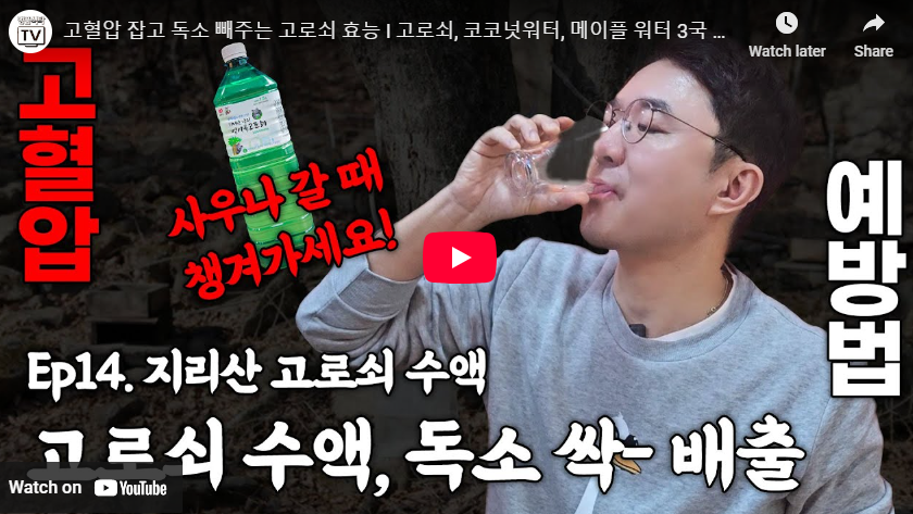 고로쇠물 효능 부작용 유통기한 채취시기 먹는방법 보관법