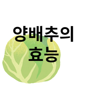 이미지 썸네일