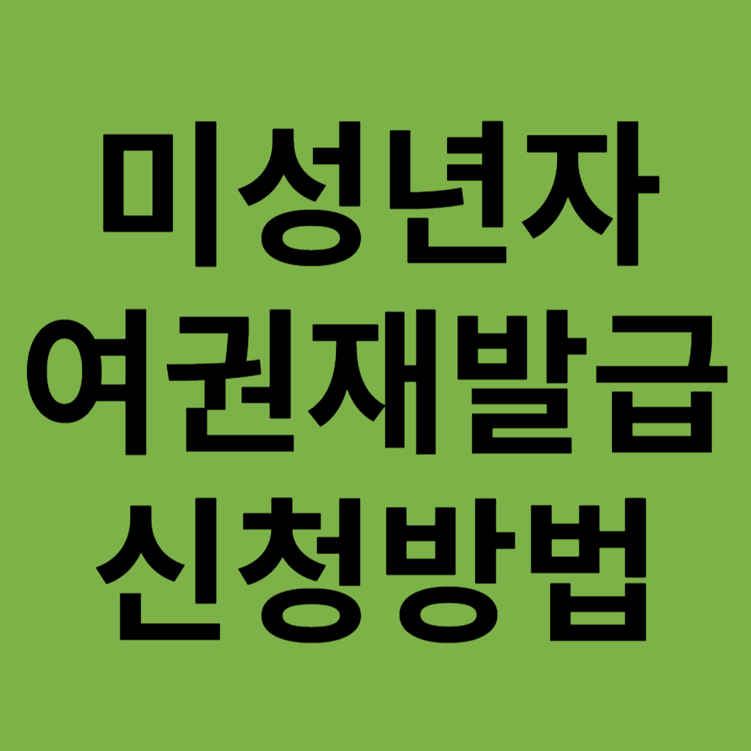 미성년자여권재발급