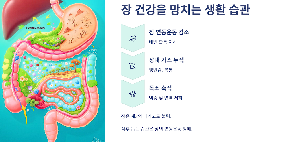 장 건강을 망치는 생활 습관