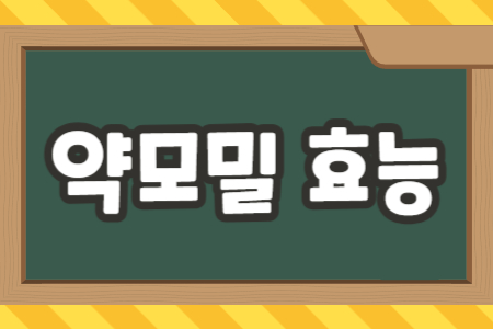 약모밀 효능