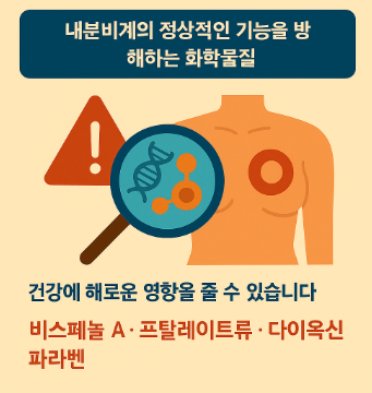 환경호르몬과 비만의 숨겨진 연결고리