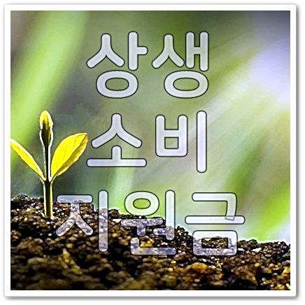상생 소비지원금