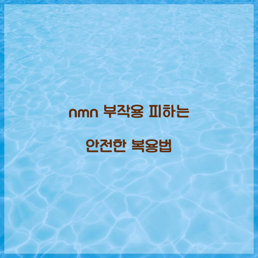 nmn 부작용