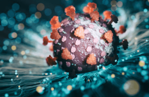 코로나 격리기간, 격리기간중 외출 및 지원금