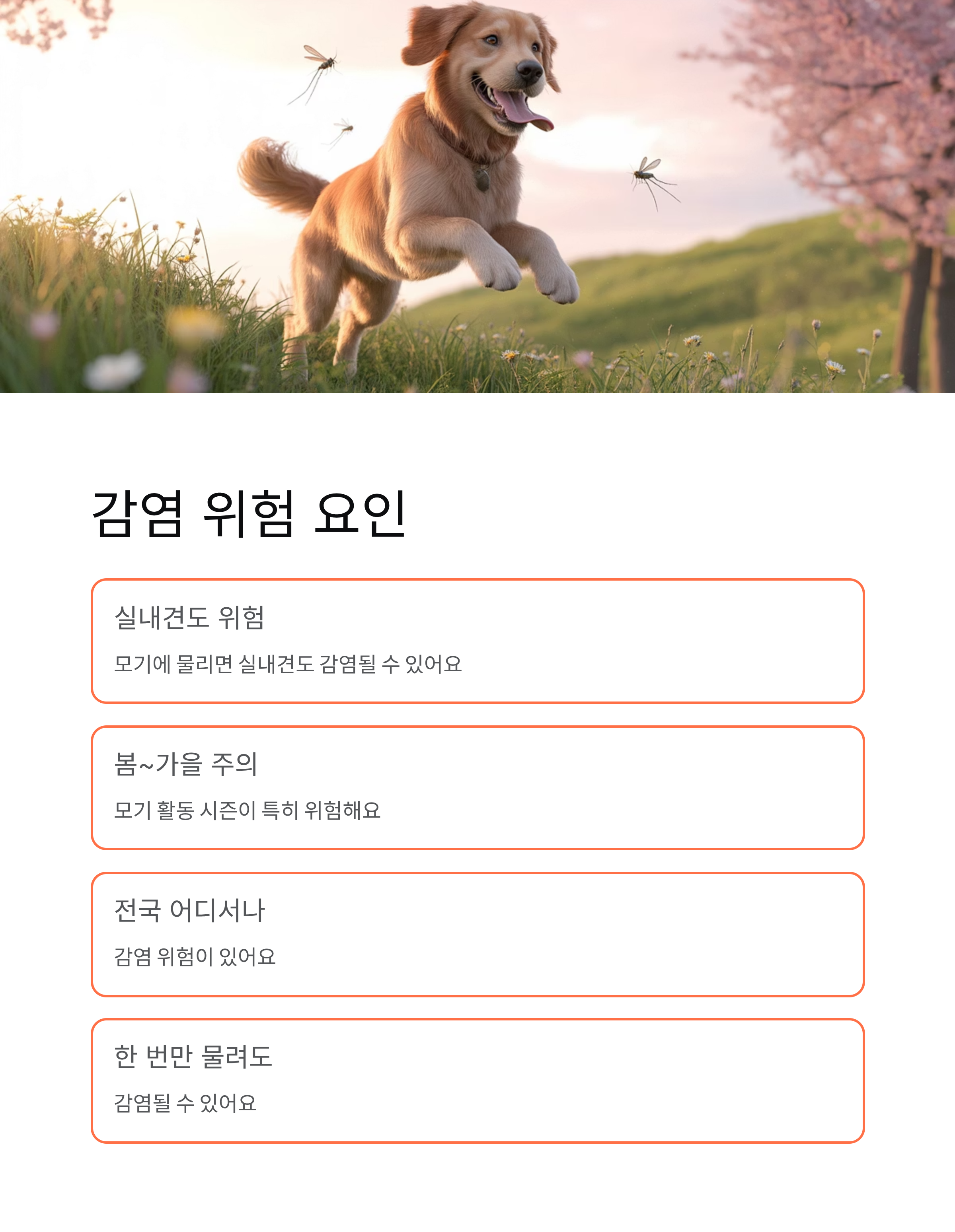 강아지 심장사상충 ❤️ 증상·예방약·치료 완벽 가이드!