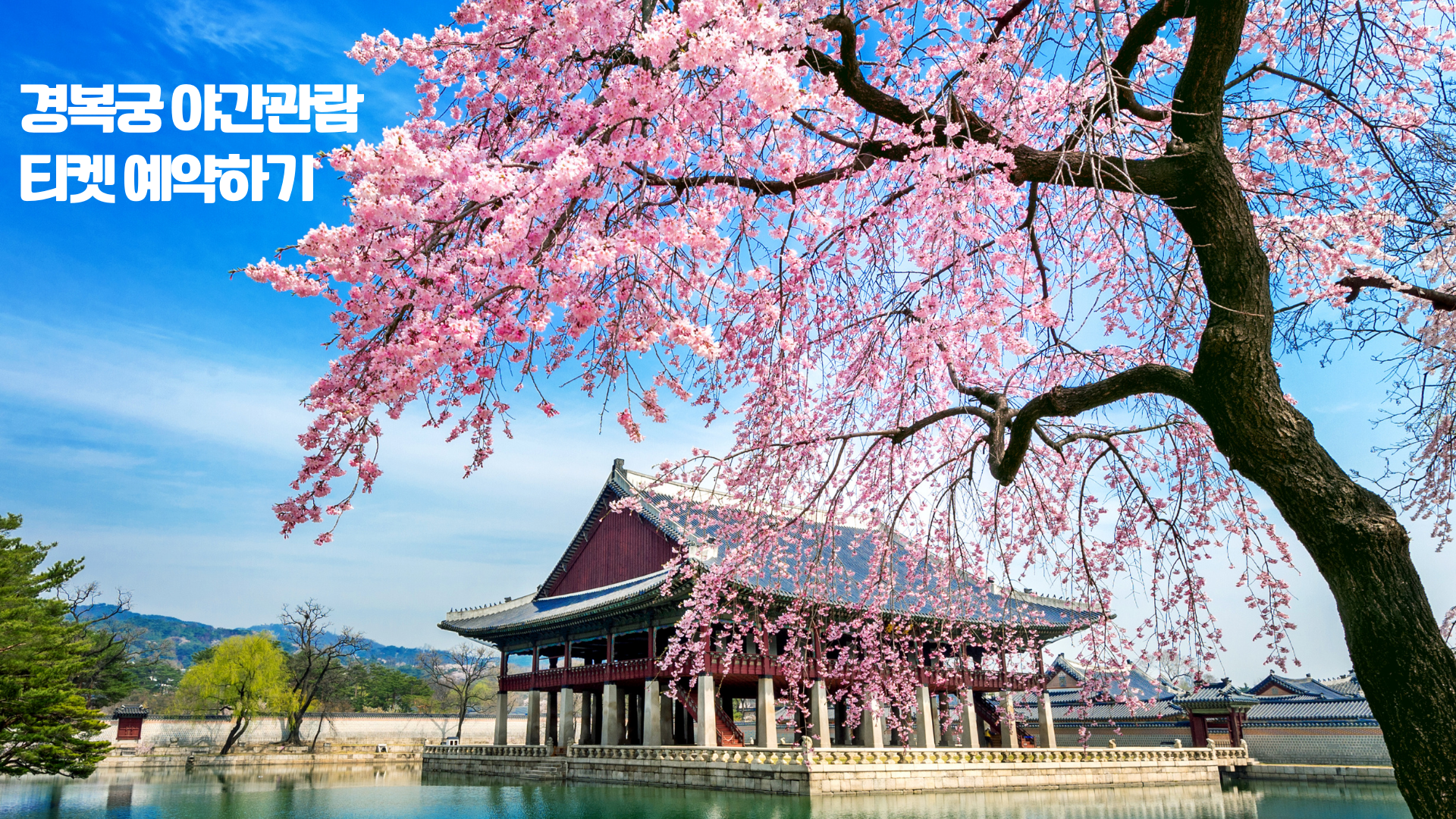 경복궁 야간관람 티켓 예약하기