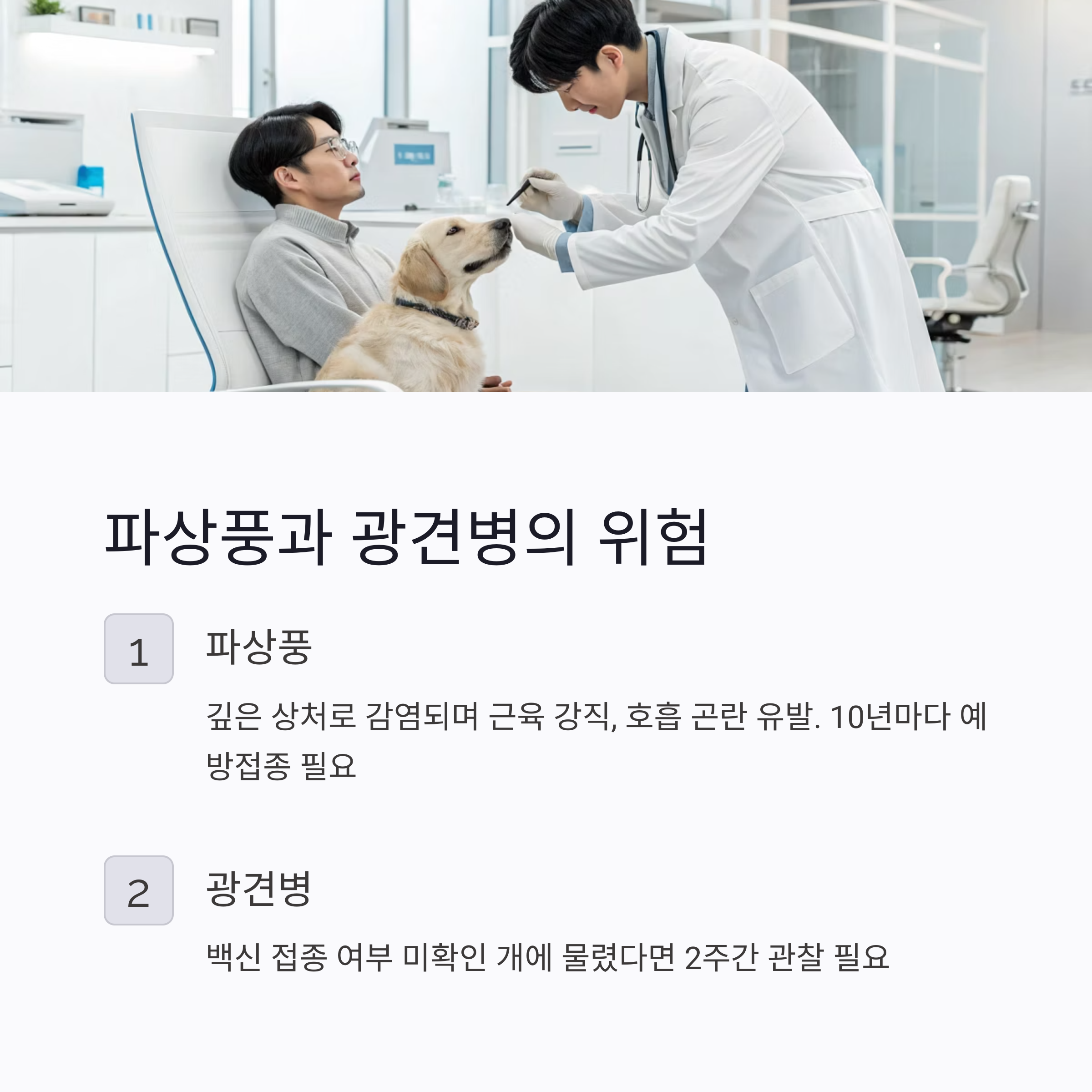 파상풍과 광견병의 위험