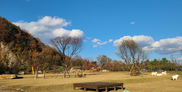 강화 자연휴양림
