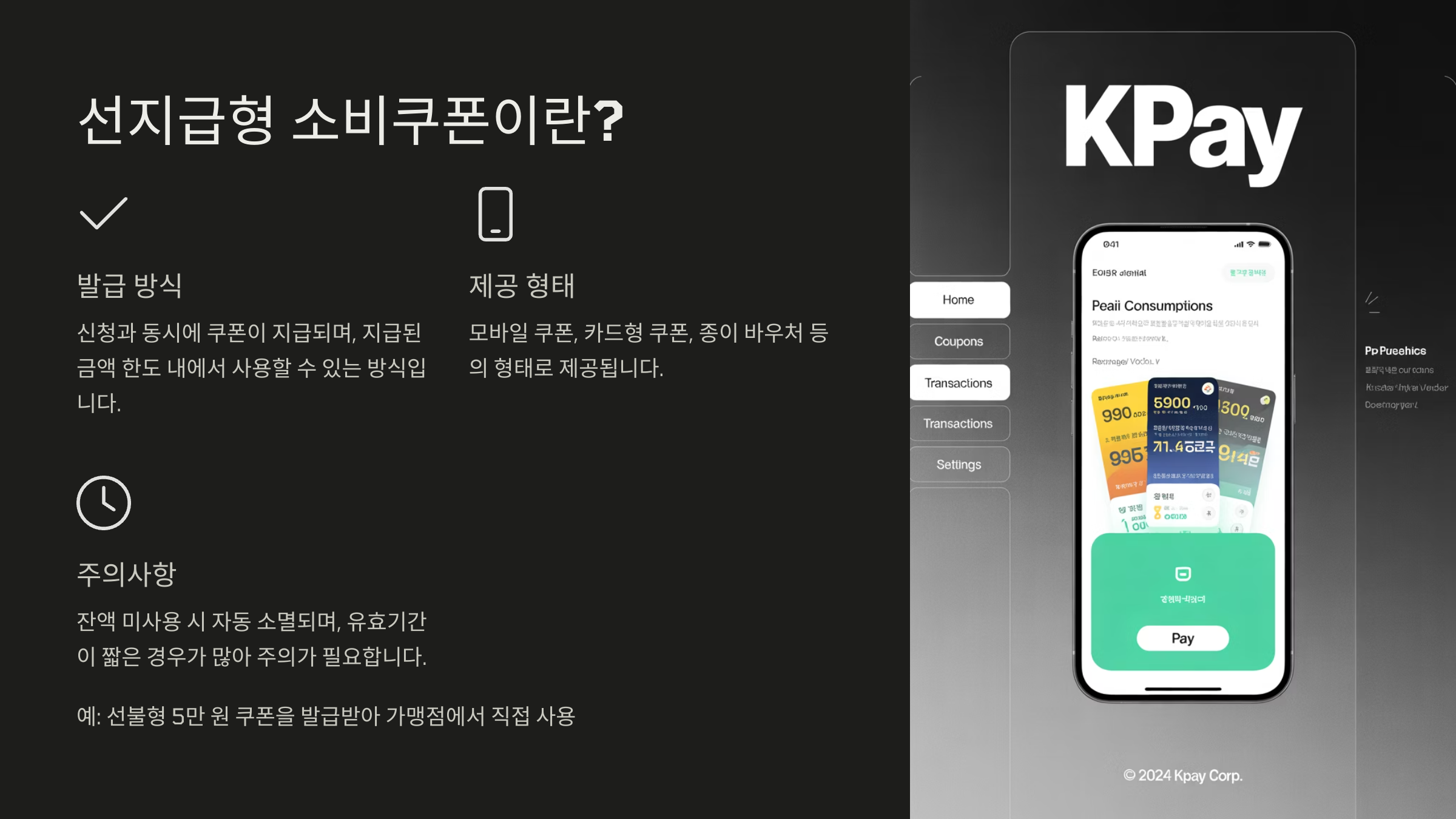 선지급형 소비쿠폰이란?