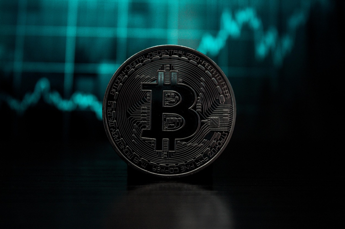 투자자가 관심을 가져야 하는 코인 종류를 설명하는 이미지