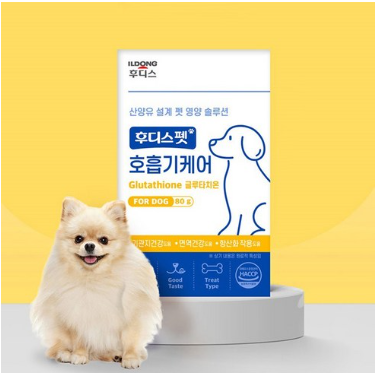우리 강아지 갑상선 기능 저하증. 진단부터 관리까지!