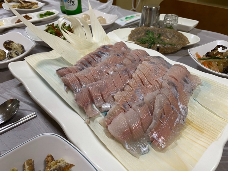 현장치GO 산천어회, 산천어구이, 산천어매운탕 산천어 요리 강원 화천 맛집 추천