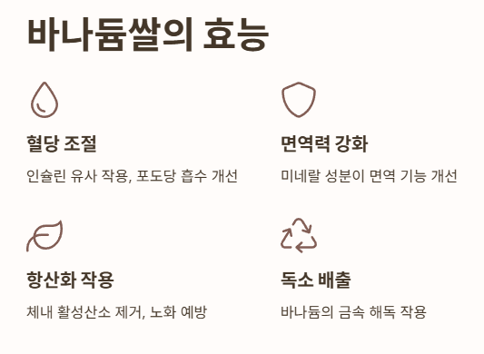 바나듐쌀 효능 
