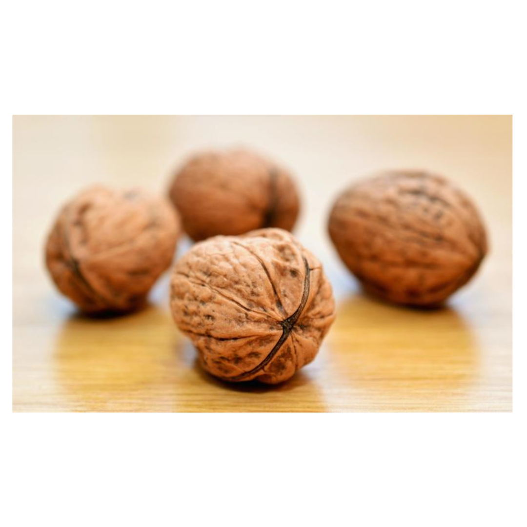 플라즈마로겐과 관련된 사진입니다.