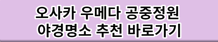 오사카 우메다 헵파이브 대관람차 야경명소 추천