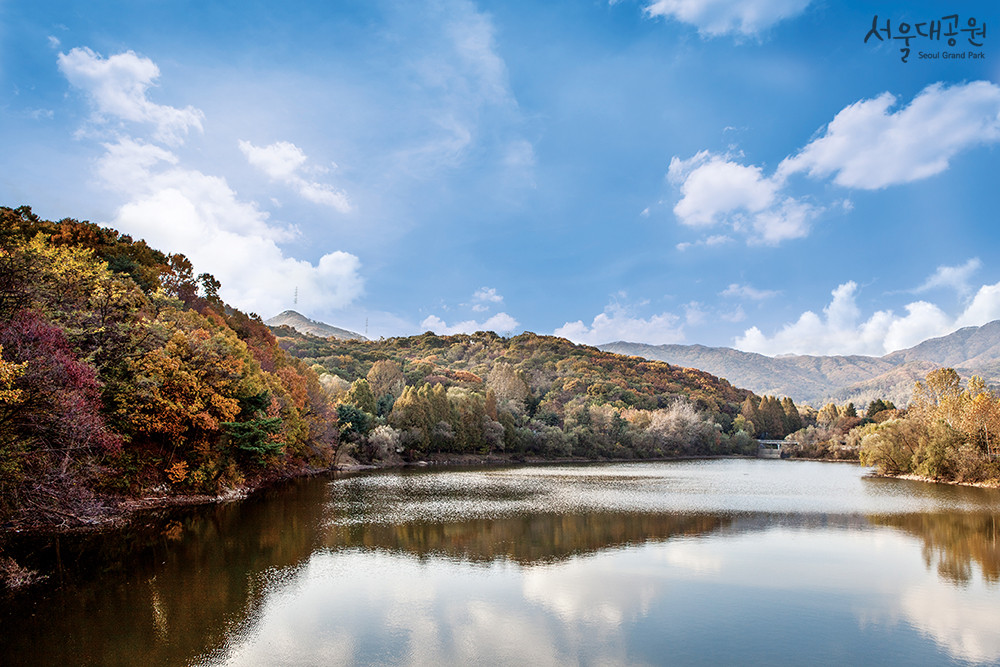 경기도 근교 나들이 단풍 명소 BEST 05 가족 나들이 데이트 코스