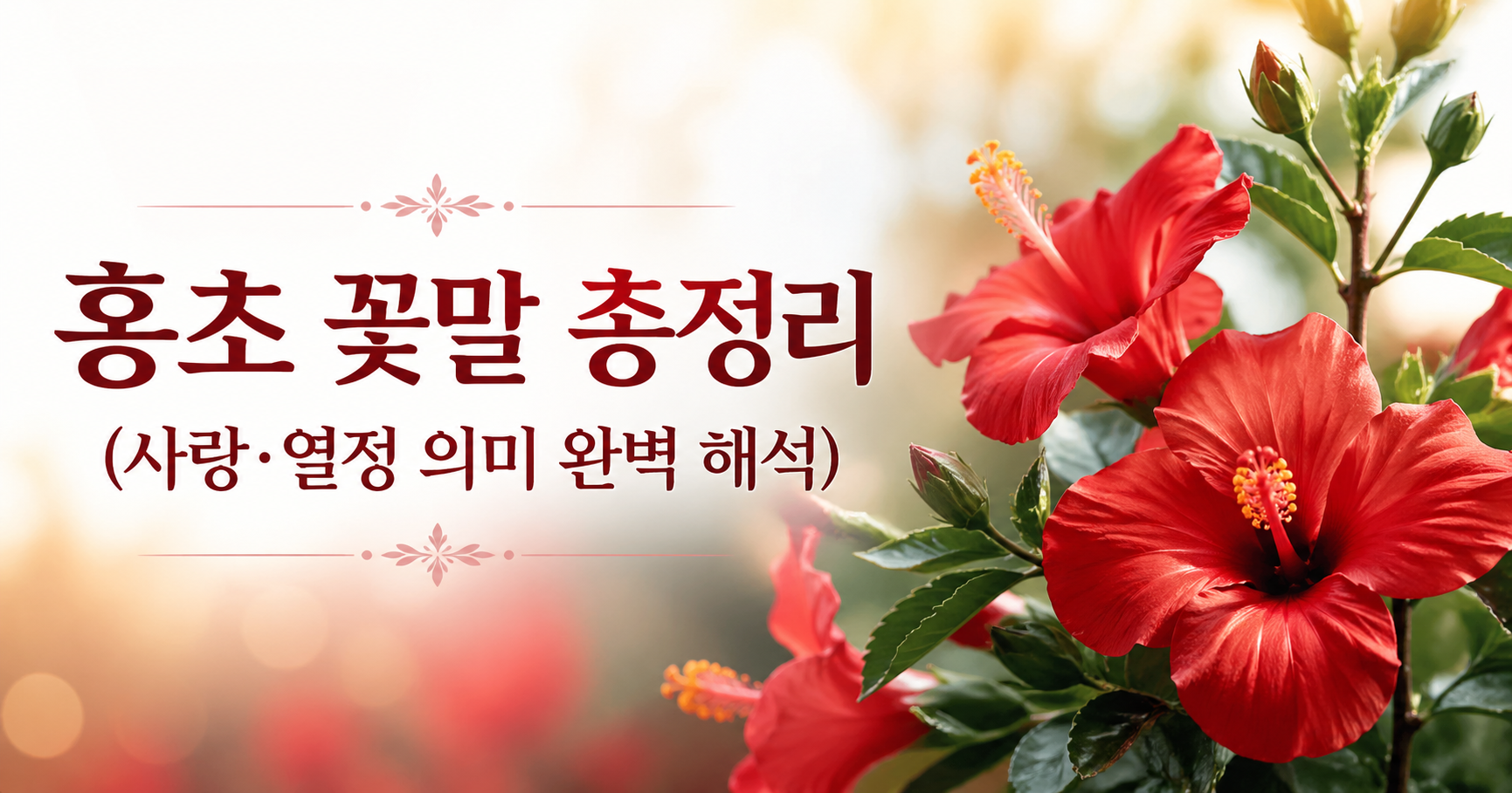 홍초 꽃말