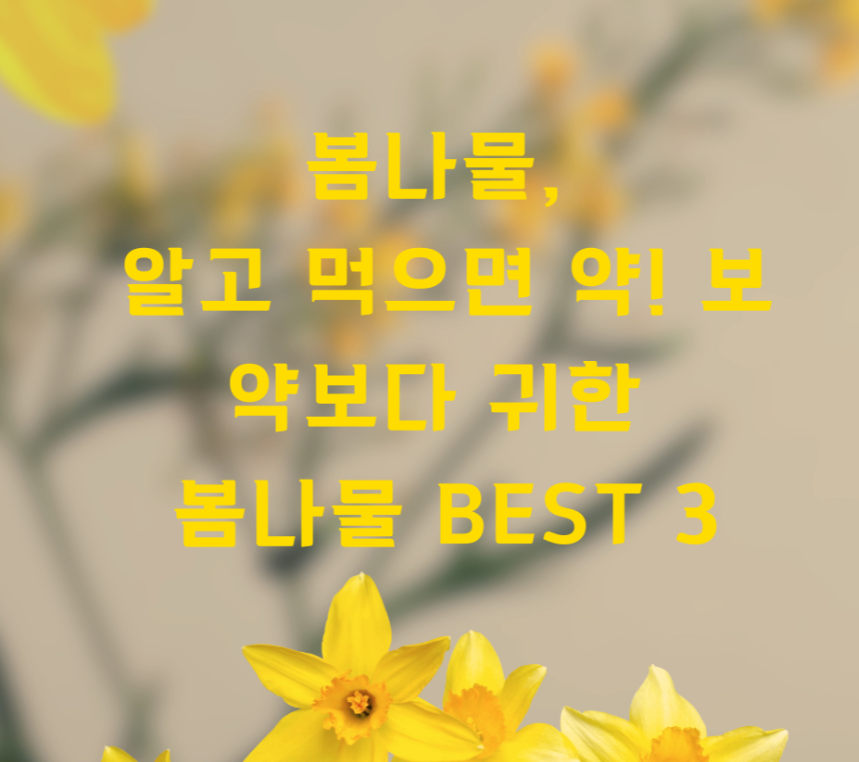봄나물, 알고 먹으면 약! 보약보다 귀한 봄나물 BEST 3 제목이미지