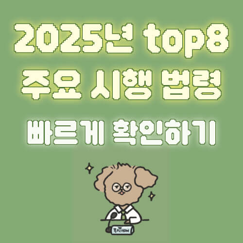 2025 주요 시행 법령
