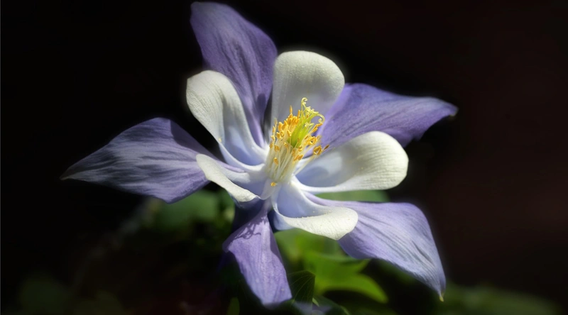 PDF 파일로 변환하는 방법