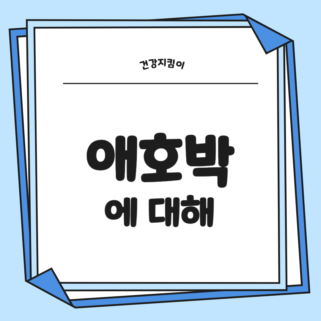 애호박 효능과 부작용 영양성분 고르는법 칼로리