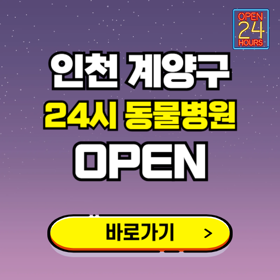 인천 계양구 24시 동물병원 진료하는 곳 ❘ 설날 휴일 야간 심야 문여는곳 찾기 ❘ 응급진료