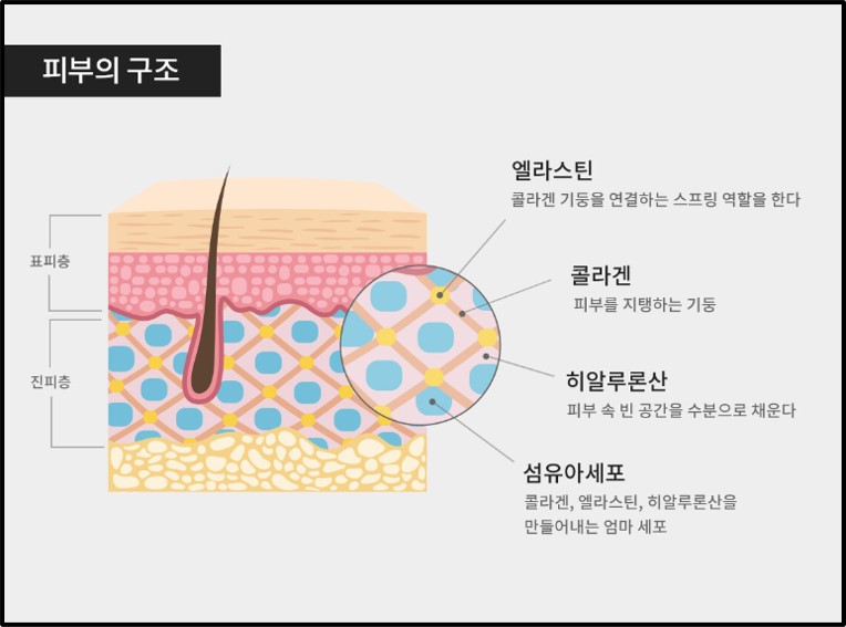 레티놀