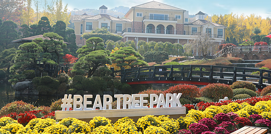 베어트리파크 단풍축제 일정 및 입장료 온라인 예매, 주차장