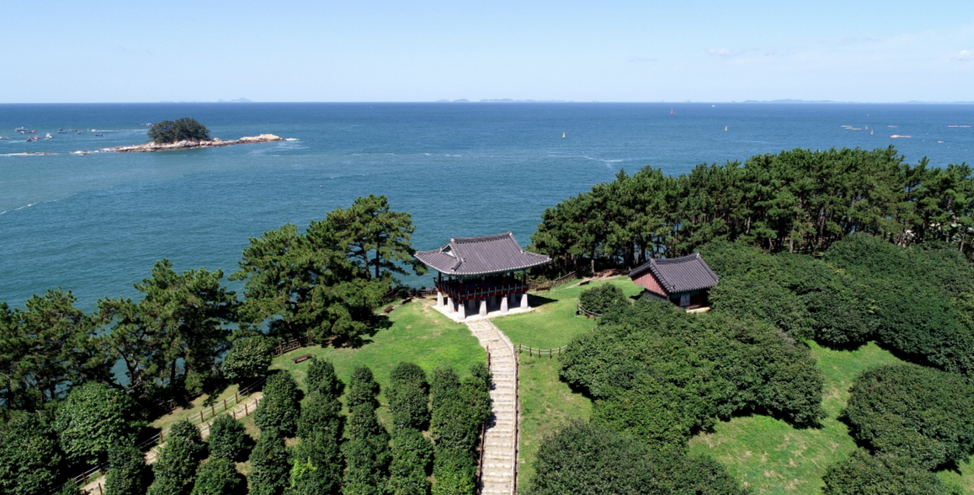 동백나무숲-전경