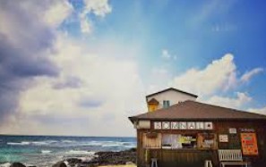 제주 2박 3일 핫플레이스