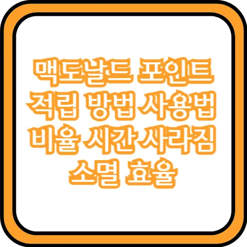 맥도날드 포인트