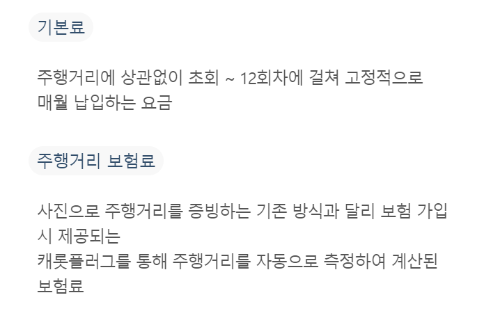 캐롯 자동차보험