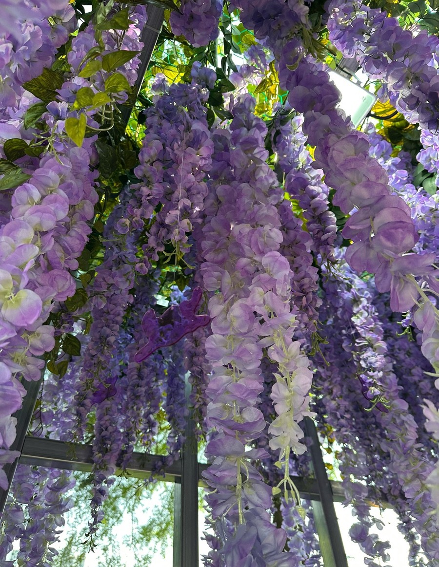 메타몽 프로젝트 : 메타몽 가든