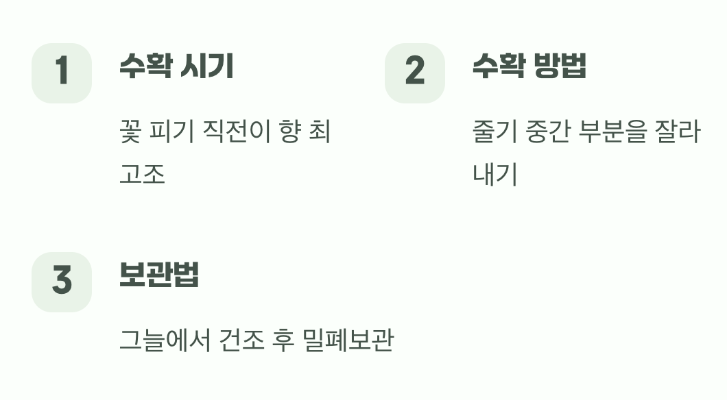 드디어 수확! 냥님께 바치는 시간