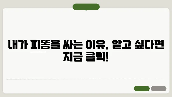 피똥싸는이유