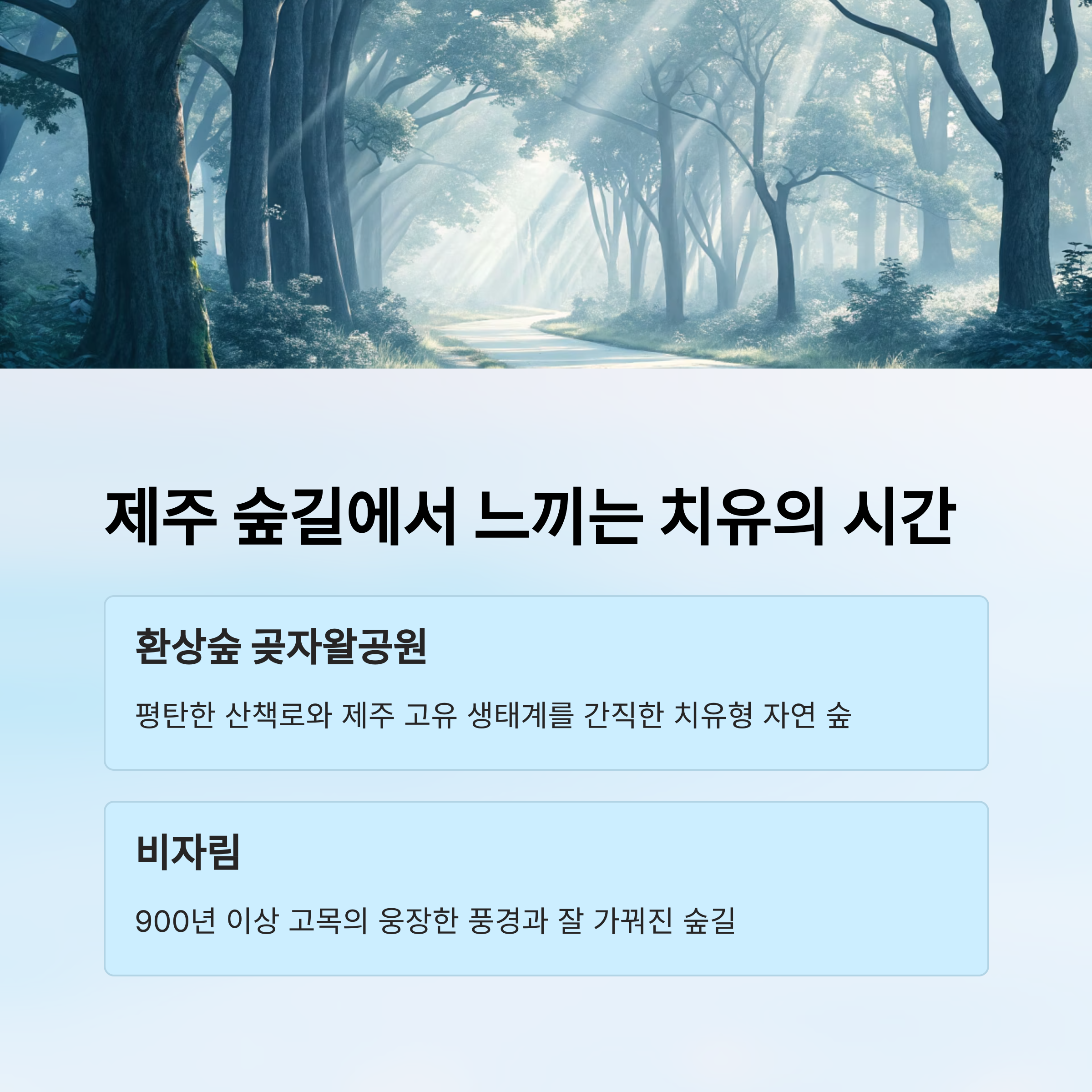 숲길에서 느끼는 치유의 시간