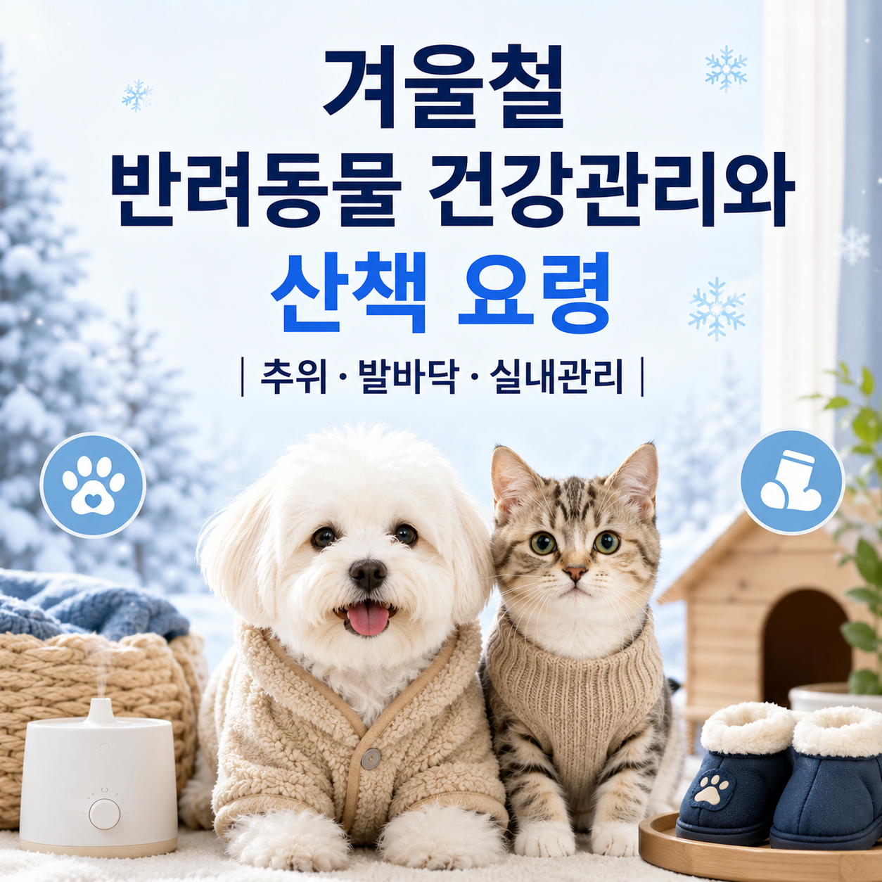 겨울철 반려동물 건강관리