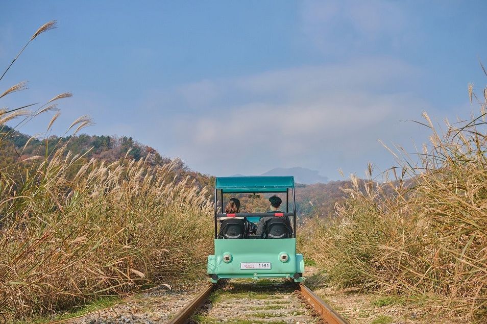 김유정 레일바이크