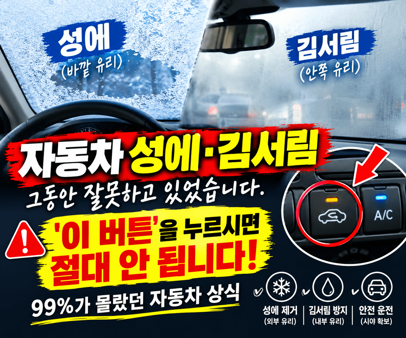 자동차 성애제거