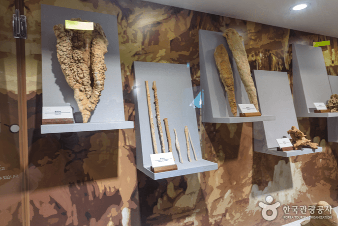 4&amp;#44; 평창군 백룡동굴