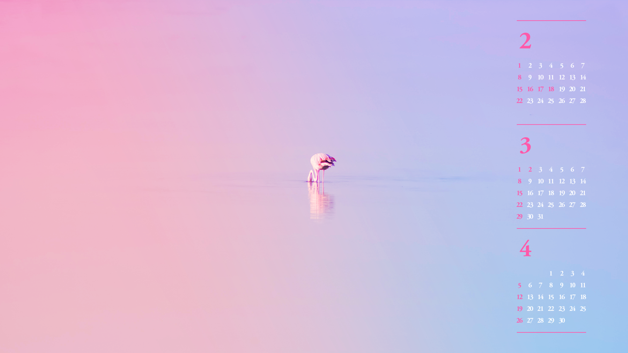 02 물 속에 머리를 넣고 있는 플라밍고 B - 2026년3월 달력배경화면