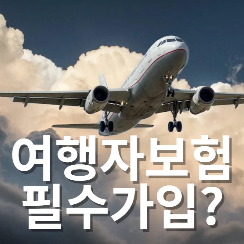 여행자 보험 필수