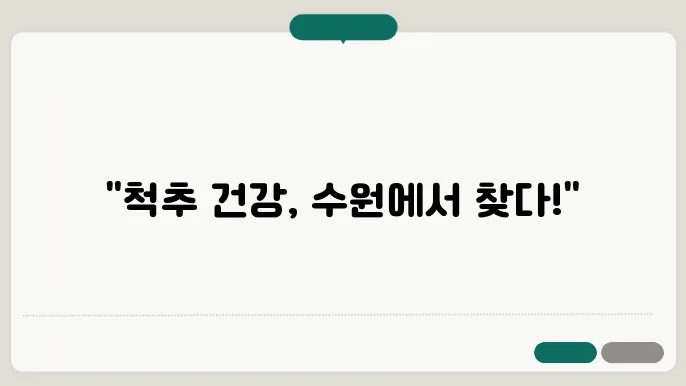 수원 척추관절병원 (정형외과, 신경외과) 리스트 - 2024