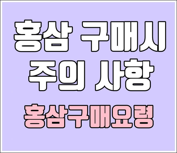 홍삼 구매요령 썸네일