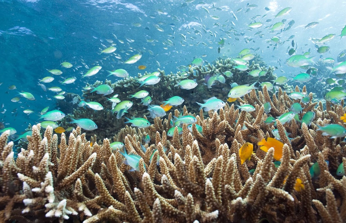 인도네시아-발리