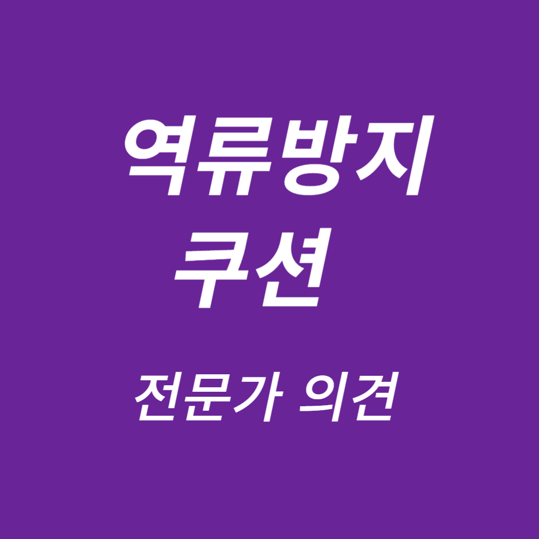 역류방지쿠션
